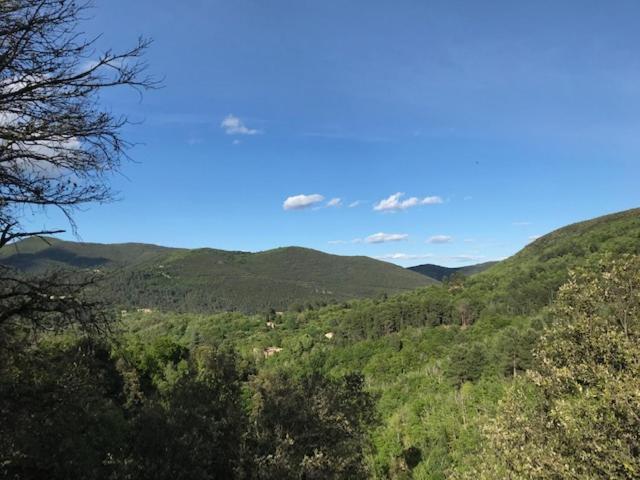 Апартаменты Gite Des 3 Vallees - Le Soleil Des Cevennes Сен-Жан-дю-Гар Экстерьер фото